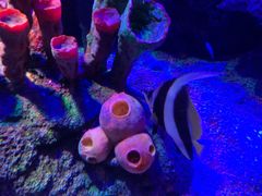 -沈阳海洋探索中心