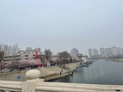 -桃花堤公园