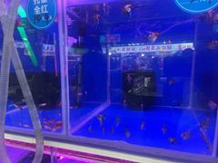 -大学城夜市