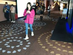 -万达影城(汉街万达广场IMAX店)
