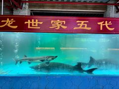 -年辉渔村·非遗传承餐厅(新丰江店)