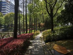 -陈家山荷花公园