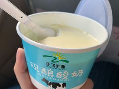 -正飞鲜奶(南湖一期店)