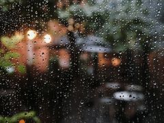 -Ocean's Table 欧舍