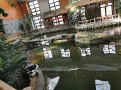 -南宫五洲植物乐园