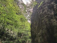 -牛背梁国家森林公园