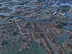 -三垟湿地
