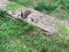 -北京麋鹿生态实验中心