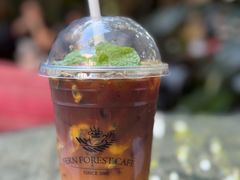 -Fern Forest Cafe