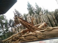 -昆明动物园