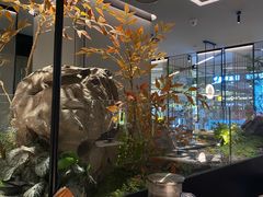 -绿茶餐厅(青岛城阳万象汇店)