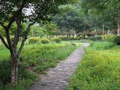 -望湖公园