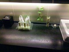 洗浴间-西安绿地假日酒店