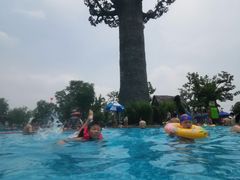 -苏州乐园森林水世界