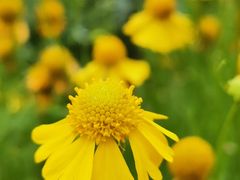 -上海市惠民中学