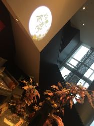 点击看大图 -奈瑞儿美养院·身体调养·美颜