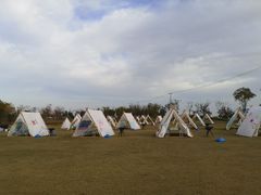 -春花秋色城市公园