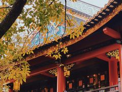 -顺峰山公园