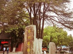 -包公祠