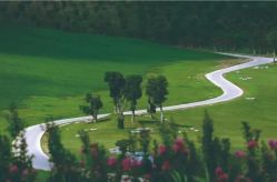 -龙子湖迎宾馆·宴会