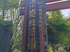 -洛阳市隋唐城遗址植物园