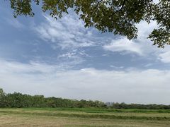 -盘龙城国家考古遗址公园