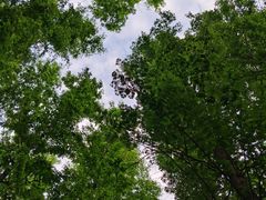 -大连植物园