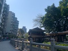-荔湾湖公园