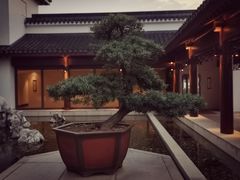 -苏州吴宫泛太平洋酒店