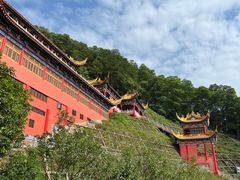-东莞市大岭山森林公园