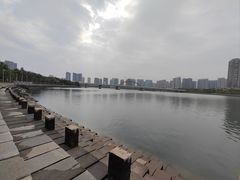 -五缘湾湿地公园