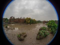 -海珠湖公园