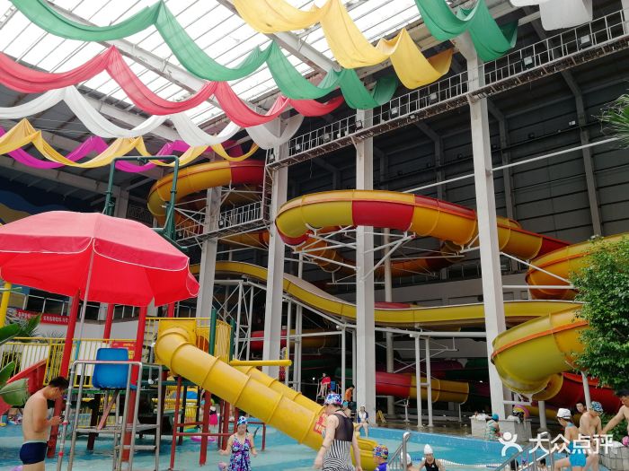 郁金香摩锐水世界图片 - 第5张