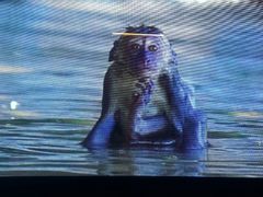 -泉城欧乐堡戏水湾艺术养生温泉