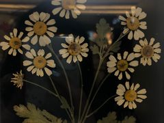 -秀儿家の小确幸花园西餐厅