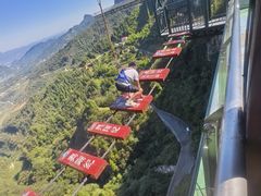 -梦幻奥陶纪景区