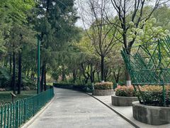 -西安市长乐公园