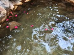 -深业半汤御泉庄温泉
