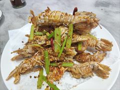 -小海丁