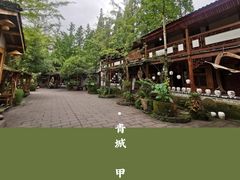 -青城甲(青城山店)