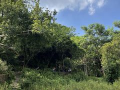 -华南国家植物园-售票处