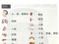 -上海第一八佰伴