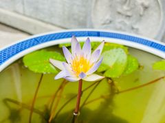 -西安市广仁寺