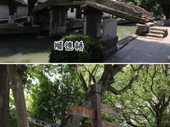 -金泽古镇
