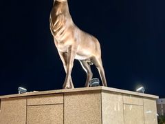 -布尔津河堤夜市