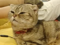 -炼呗运动康复·健身工作室(紫竹桥店)