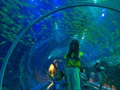 -成都浩海立方海洋公园