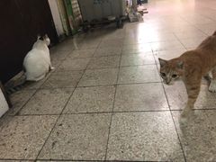 -新记餐厅(香槟大厦店)