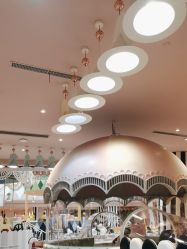 点击看大图 -超级奈尔宝SUPER NEOBIO(杭州星光店)