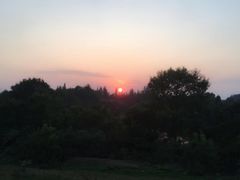 -湖南东洞庭湖国家级自然保护区